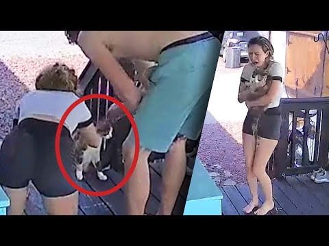 A Cat Who Was Missing For A Week Returns Home!