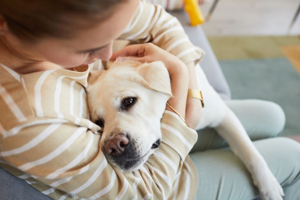 Harnessing the Therapeutic Influence of Dogs: Enhancing Mental Health and Well-Being