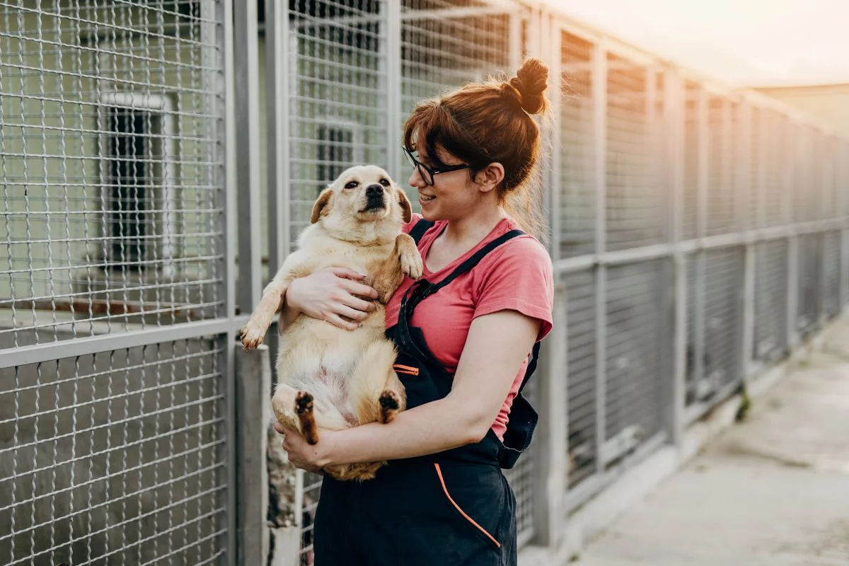 Finding Forever Homes: Advocating for Dog Adoption