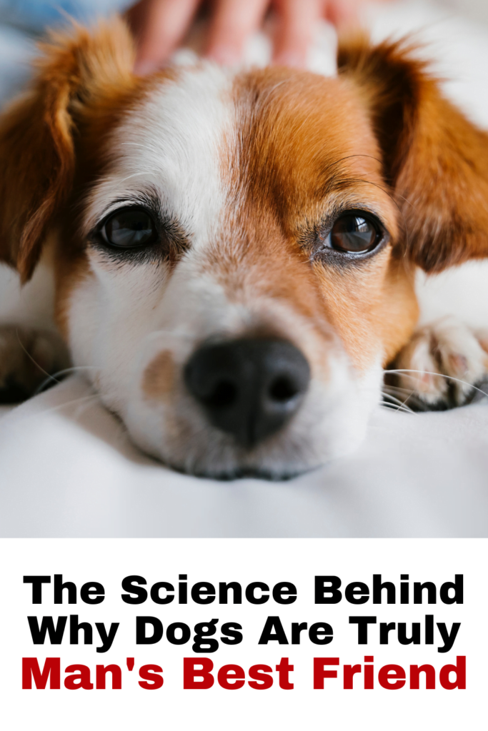 The Science Behind Why Dogs Are Truly Man's Best Friend - The Animal Cave