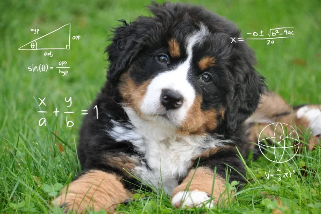 Exposing Doggy Myths: What's Fact and What's Fiction?