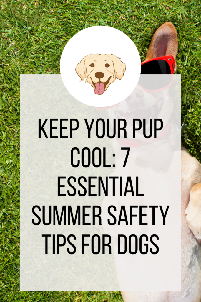 7 Summer Safety Tips for Dogs - The Animal Cave