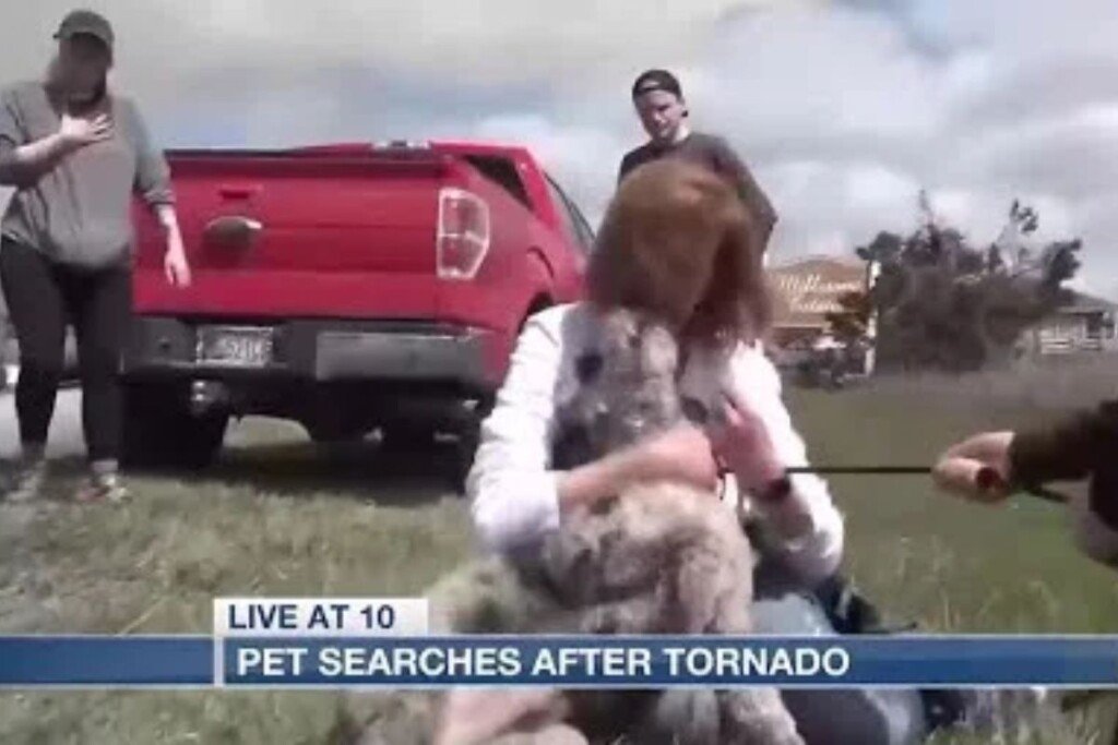 Friday's Tornado Aftermath: Owner and Pet Share Emotional Reunion