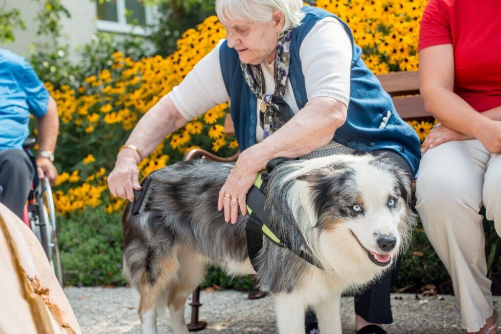 How Emotional Support Dogs Enhance Seniors' Well-Being