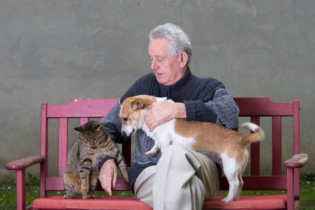 Tips for a Pet-Friendly Senior Home