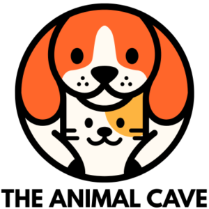 Man Builds Wheelchair For His Disabled Goldfish The Animal Cave