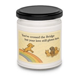 rainbow-bridge-candle-glow