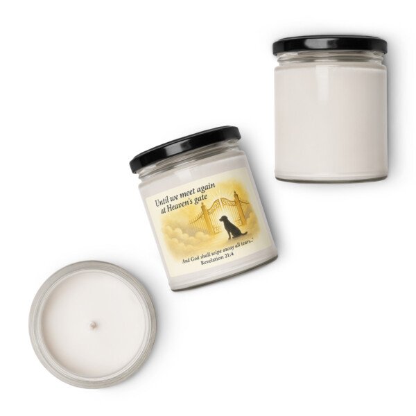 Until We Meet Again - Memorial Candle - Image 3