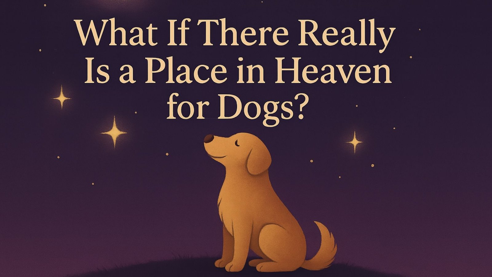 Heaven for Dogs